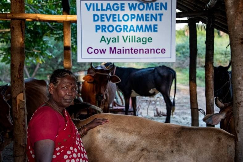 Dairy Farming Unit